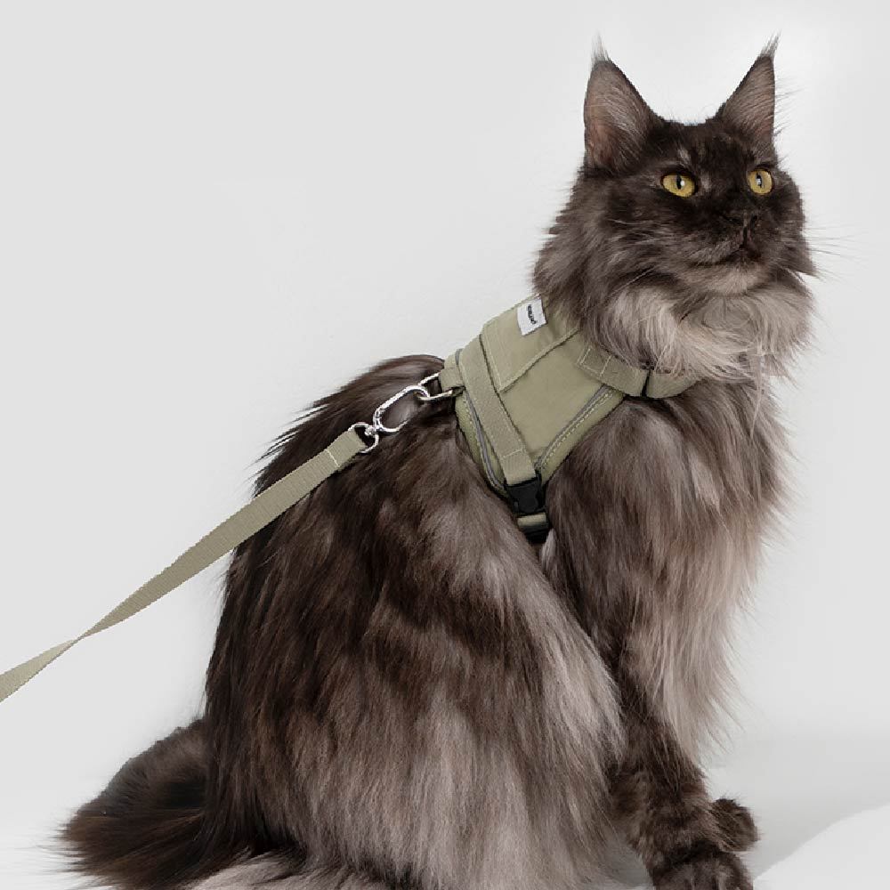 山谷貓貓馬甲胸背牽繩組(四色)